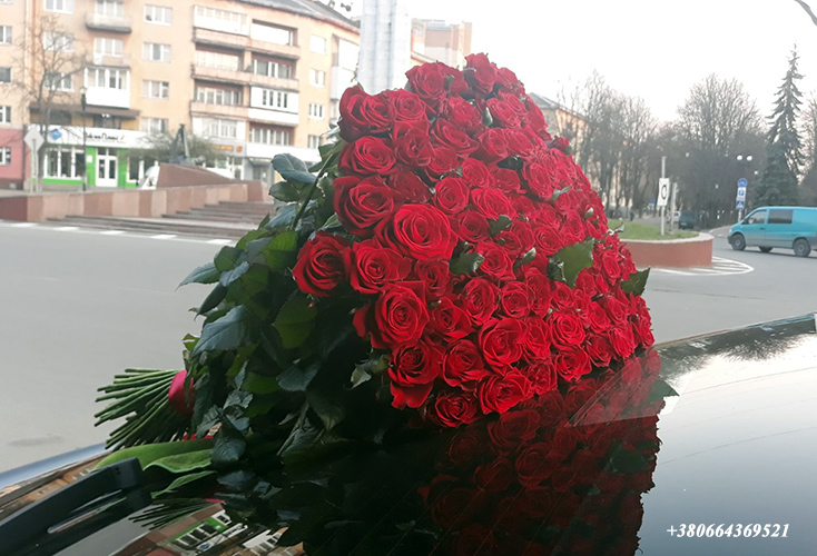 фото доставки 101 троянда