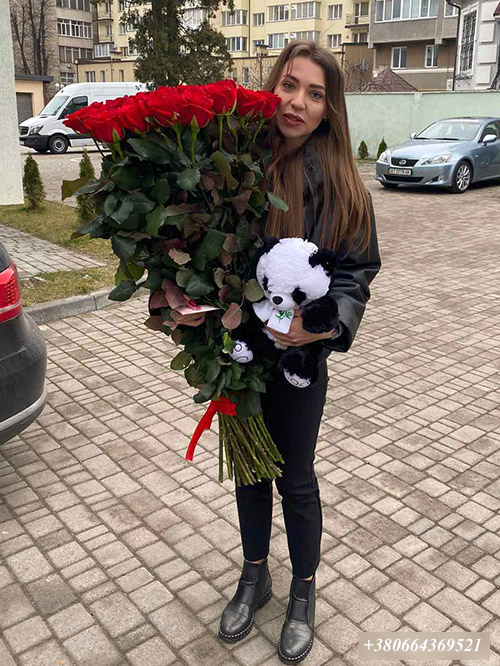 красные высокие розы фото